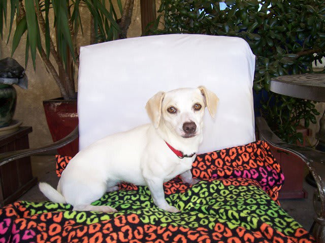 Photo of SOPHIE