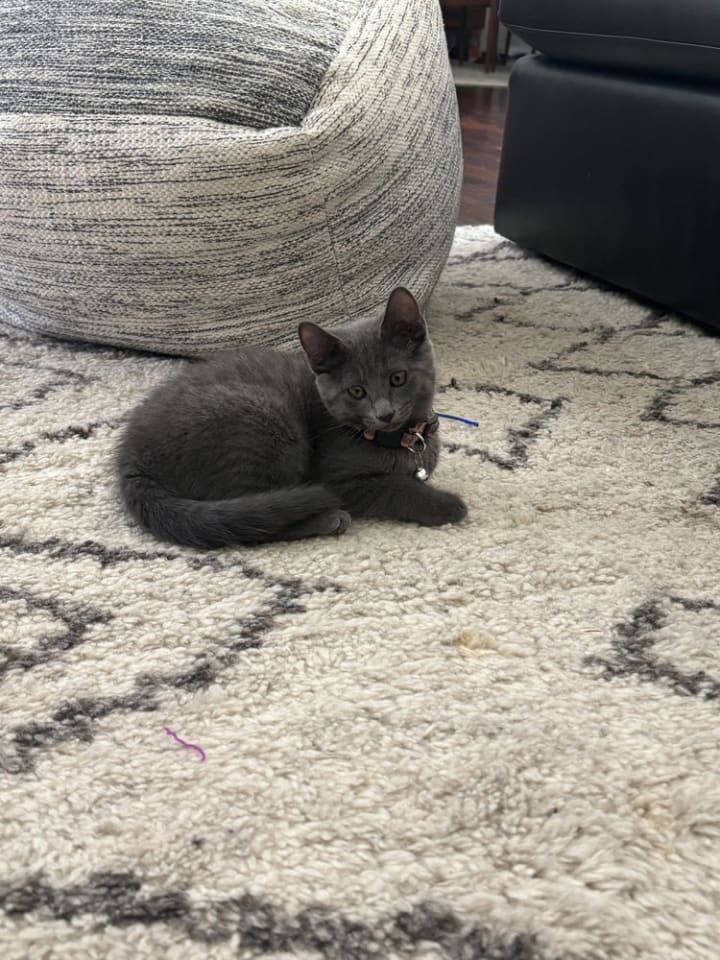 Photo of Maybel