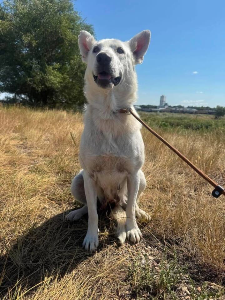 Photo of Mandy