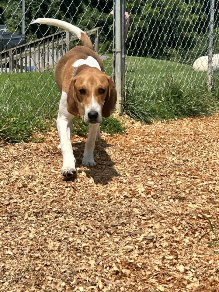 Photo of Benny
