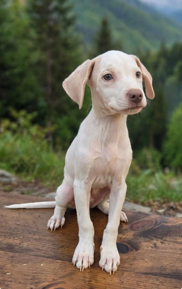 Photo of Arthur (TX)