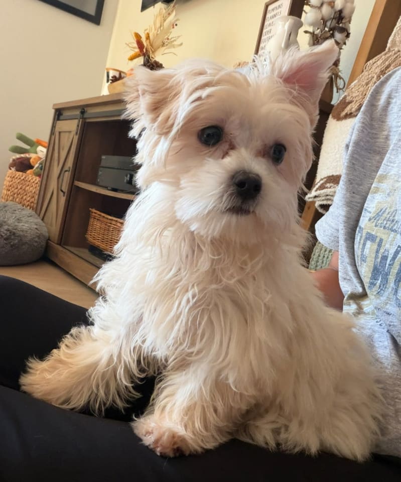 Photo of Ellie