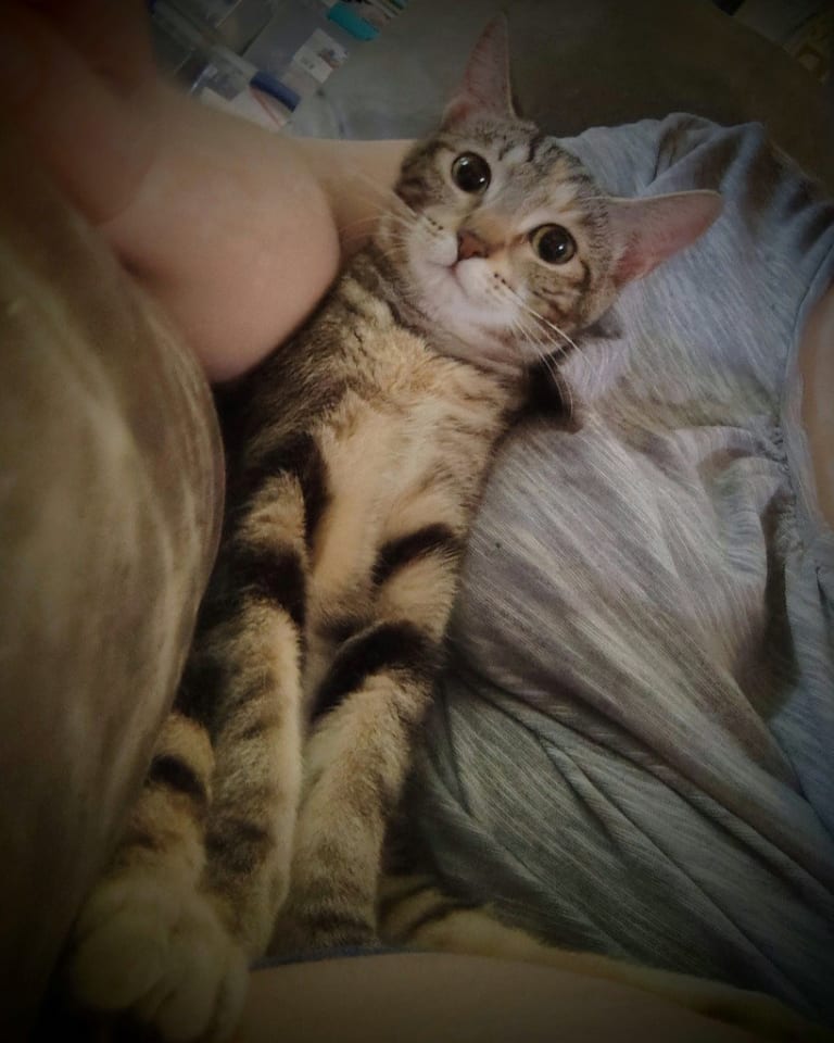 Photo of Miracle