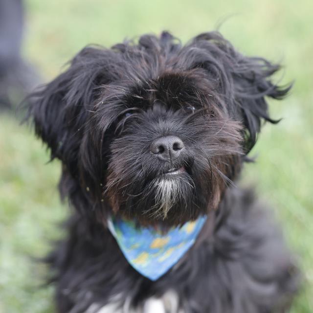 Photo of TUCKER