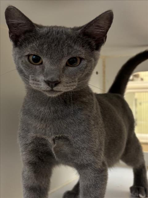 Photo of BLUE