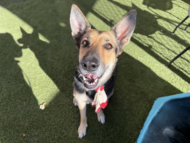 Photo of LUNA