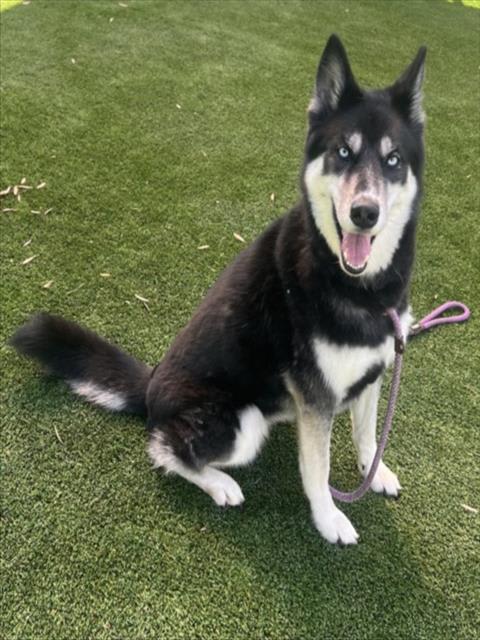 Photo of MISKA