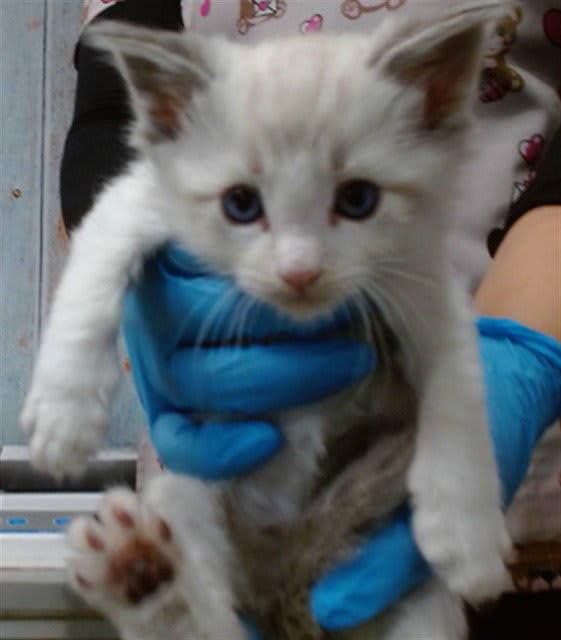 Photo of YETI