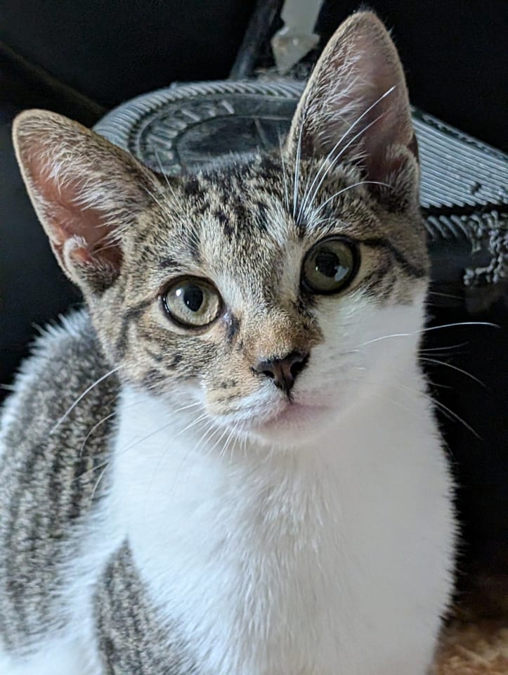 Photo of Tiny Tina