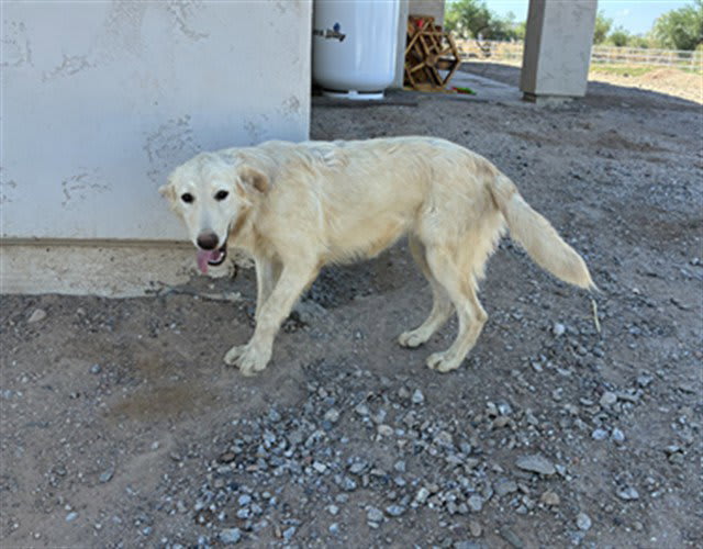 Photo of TARO
