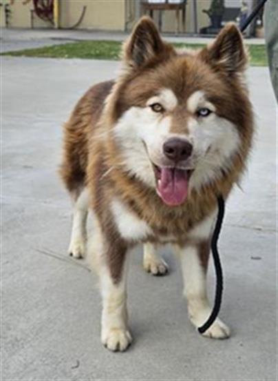 Photo of ASTRO