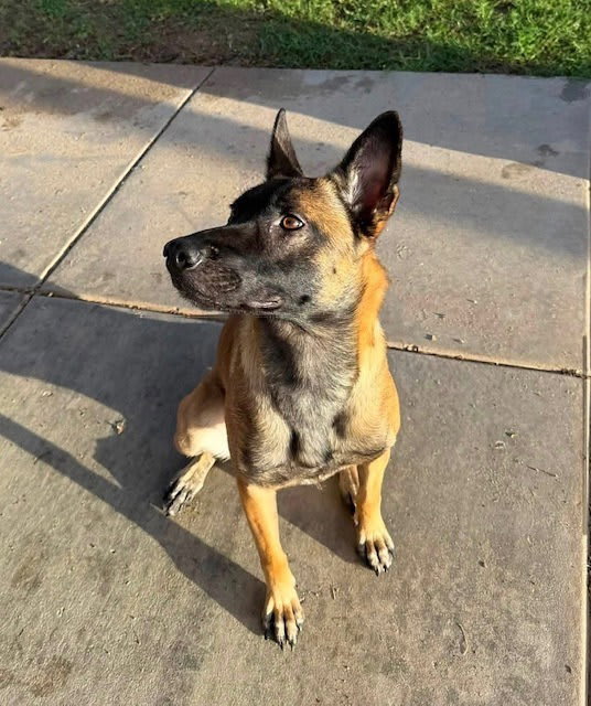 Photo of Meena Located in Arizona