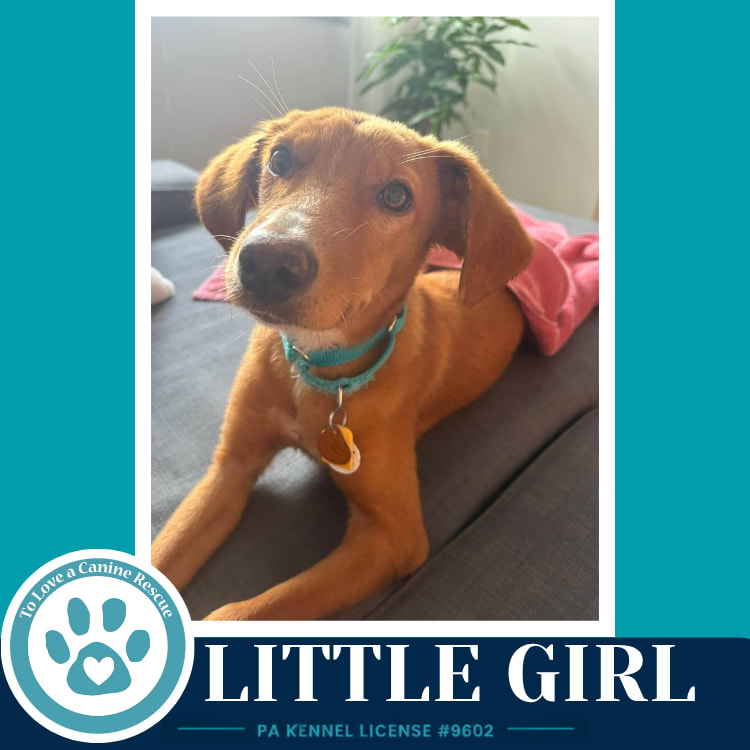 Photo of Little Girl 091226