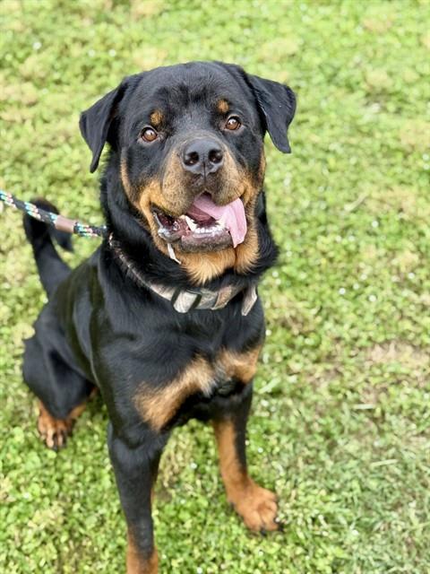 Photo of ZEUS
