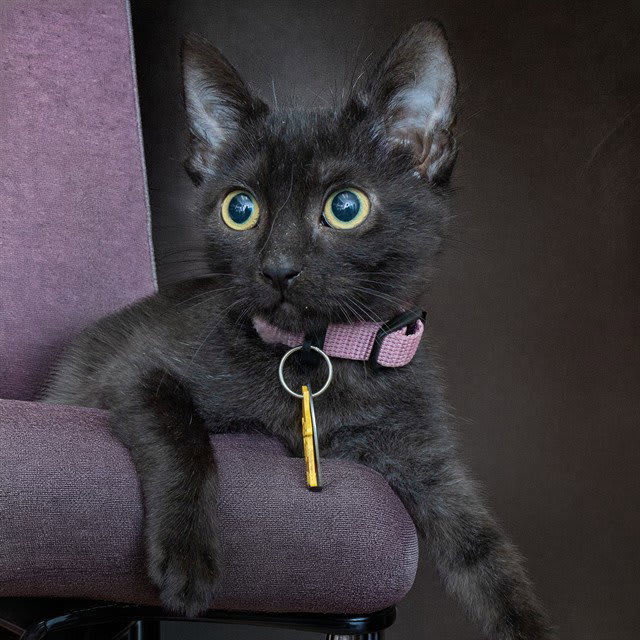 Photo of KEKE