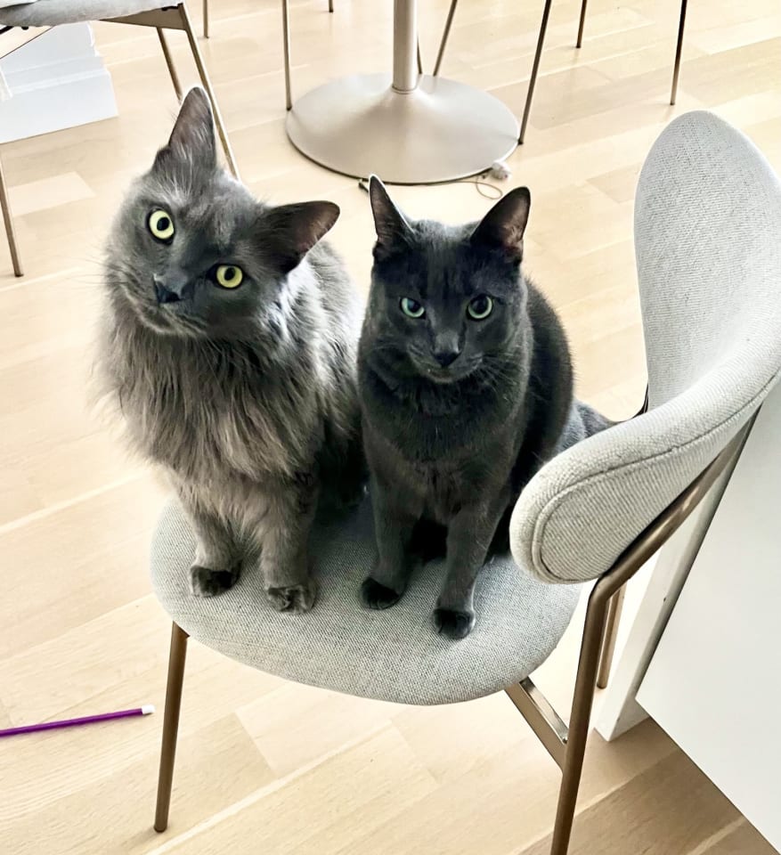 Photo of Alaska and Davey