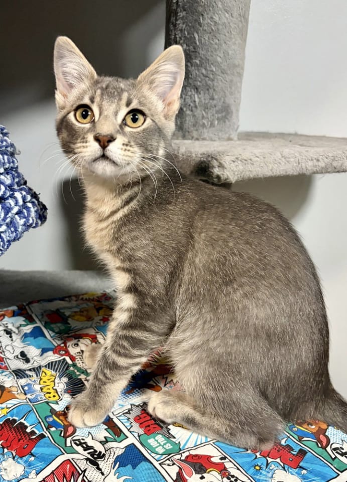 Photo of Hermes
