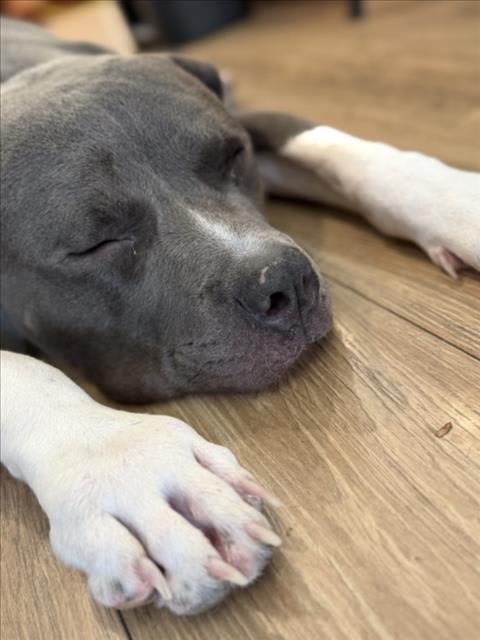 Photo of KYLO