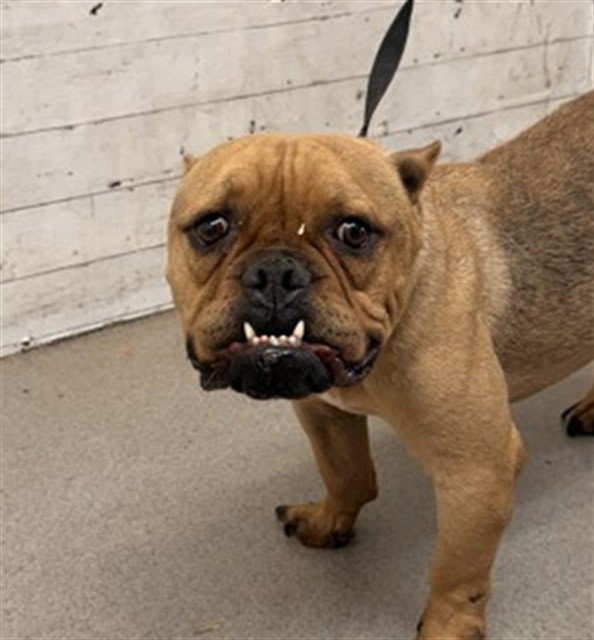 Photo of MONTY