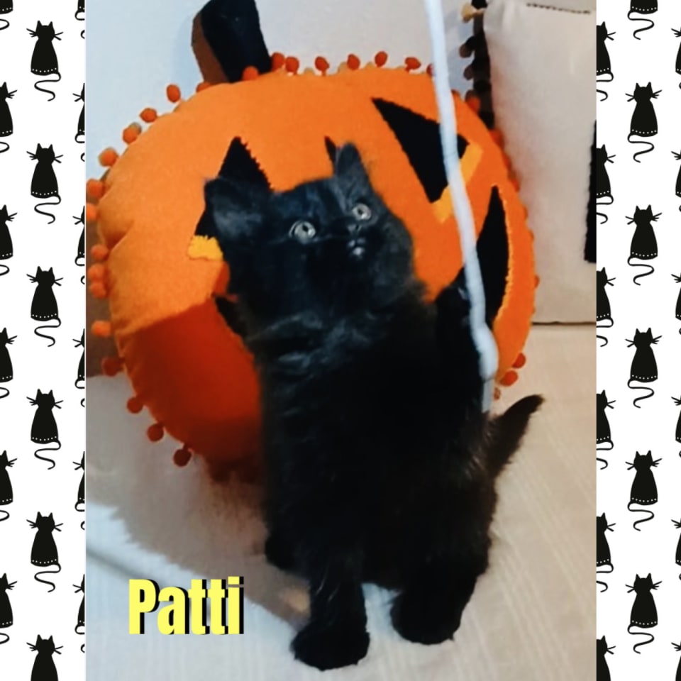 Photo of Patti