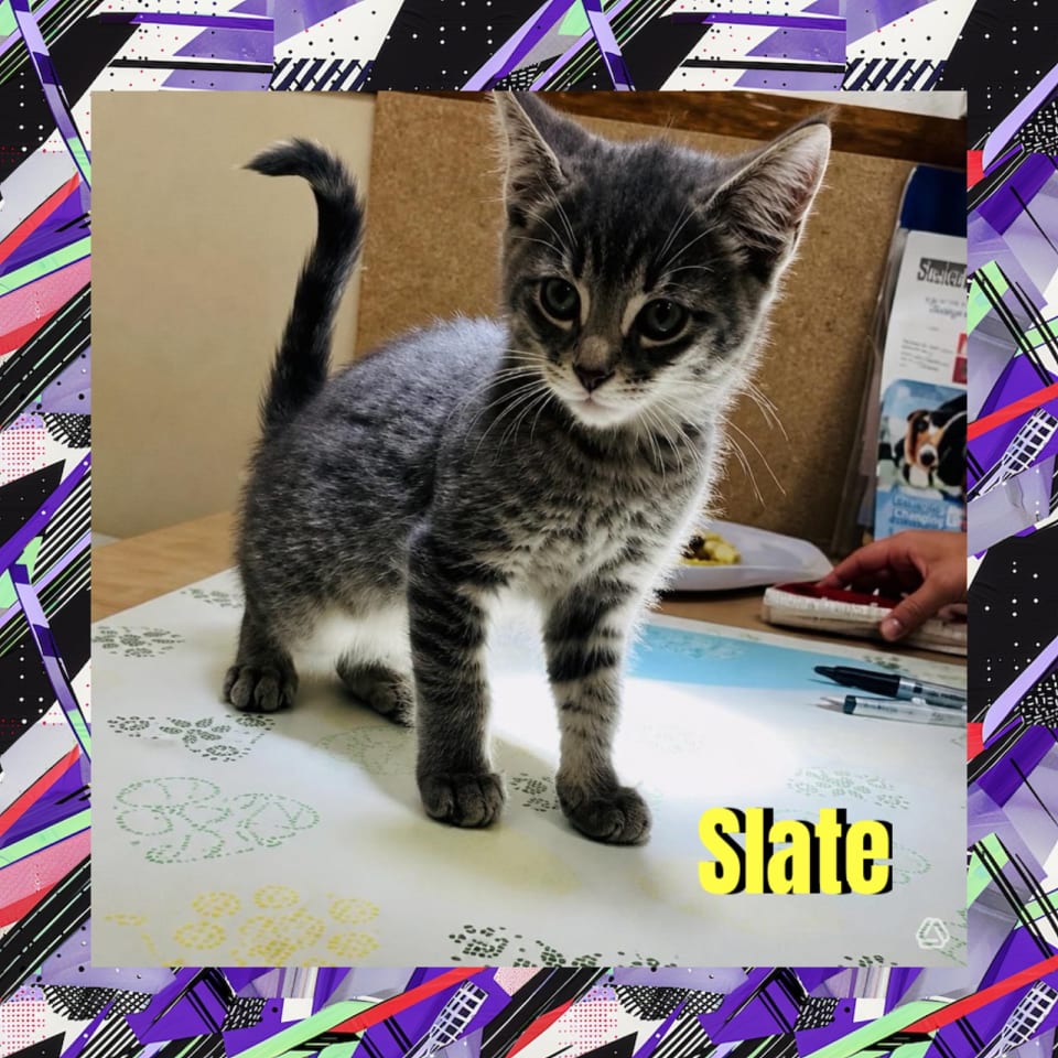 Photo of Slate