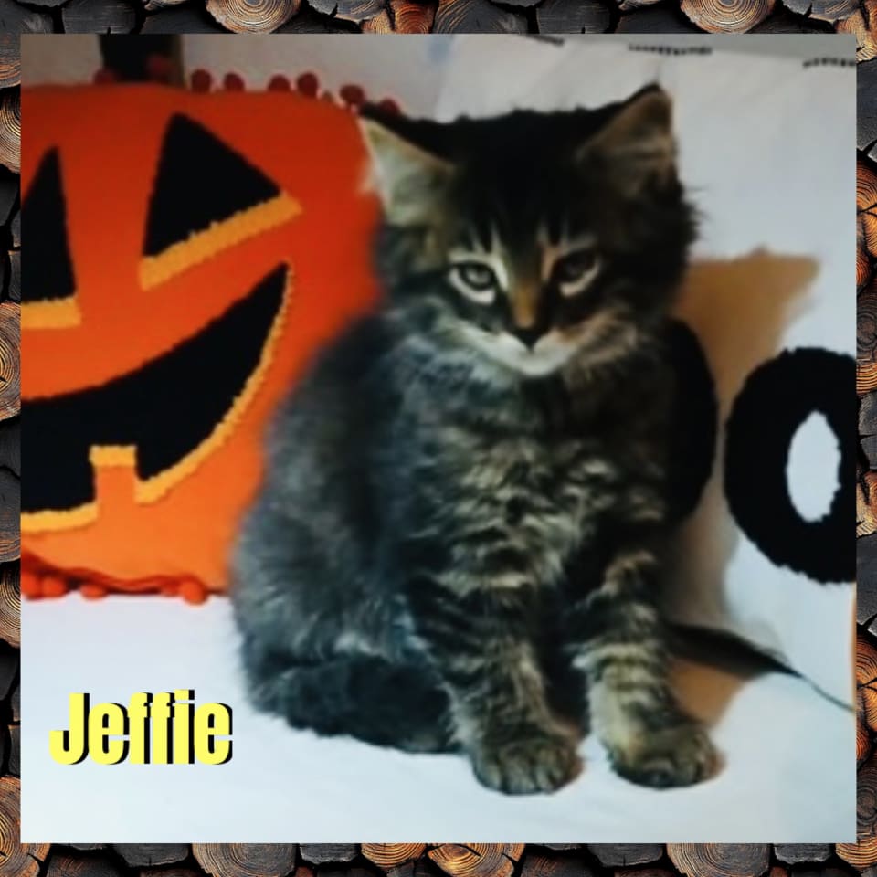 Photo of Jeffie
