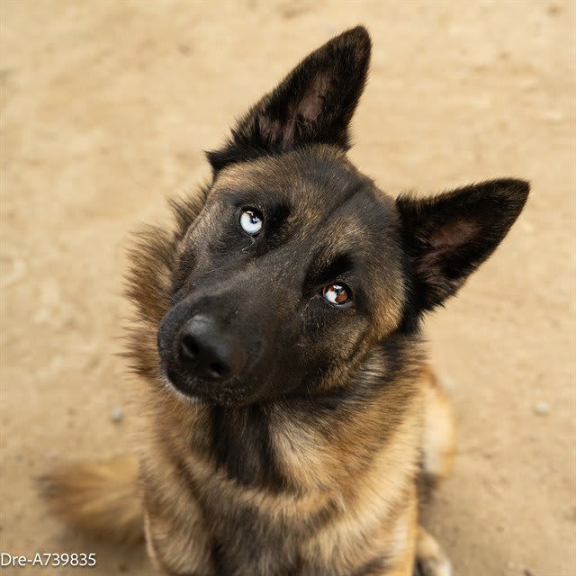 Photo of DRE