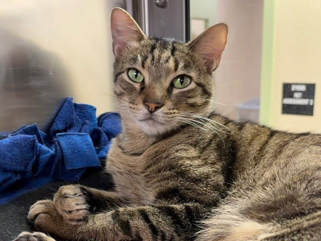 Photo of OLIVER