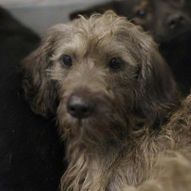 Photo of BETA