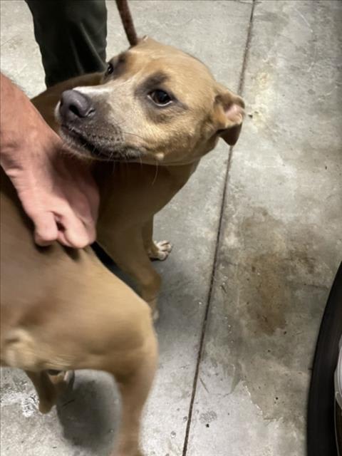 Photo of TANK