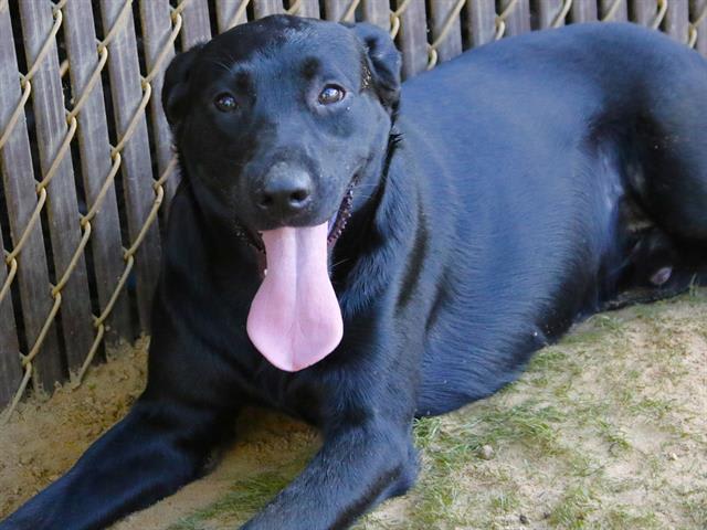 Photo of DIESEL