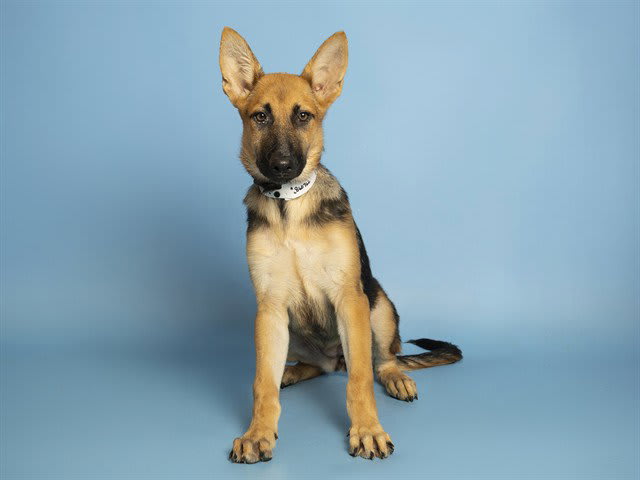 Photo of SUNDAE