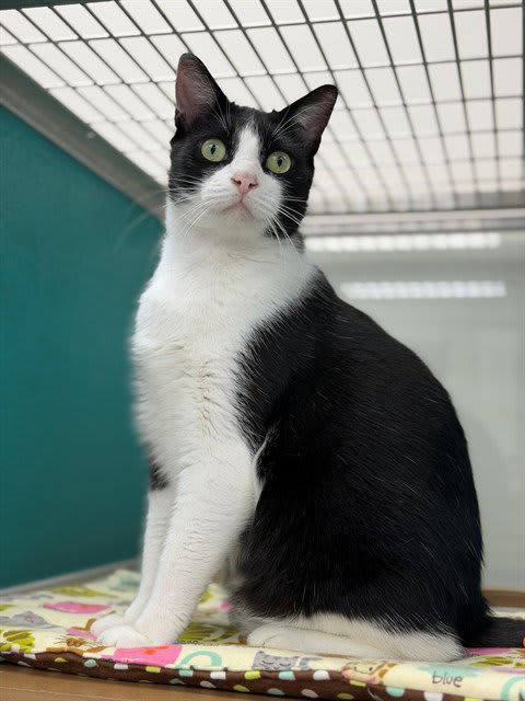 Photo of SCRATCH