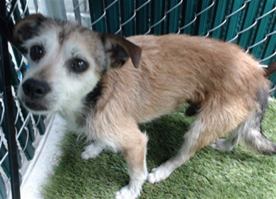 Photo of OSO