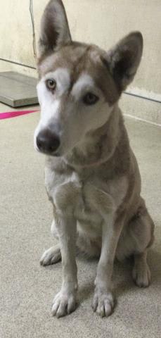 Photo of LUNA