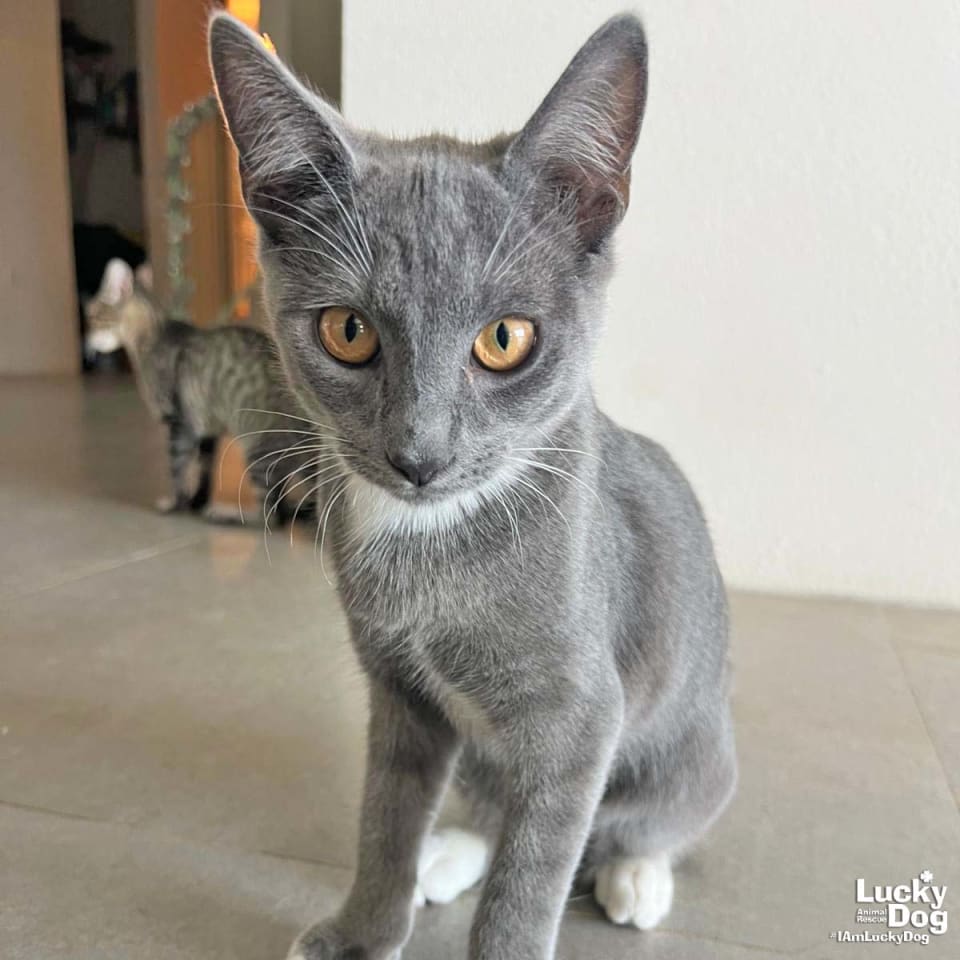Photo of Xilo