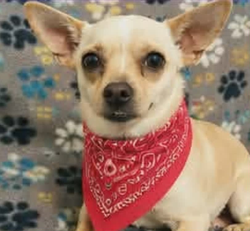Photo of Churro