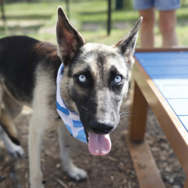 Photo of SMOKEY