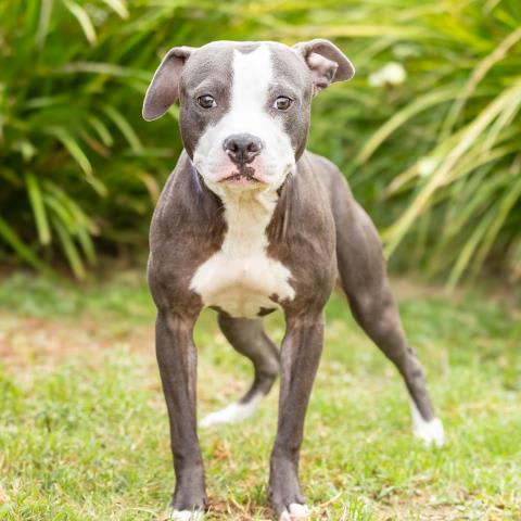 Photo of SMILEY