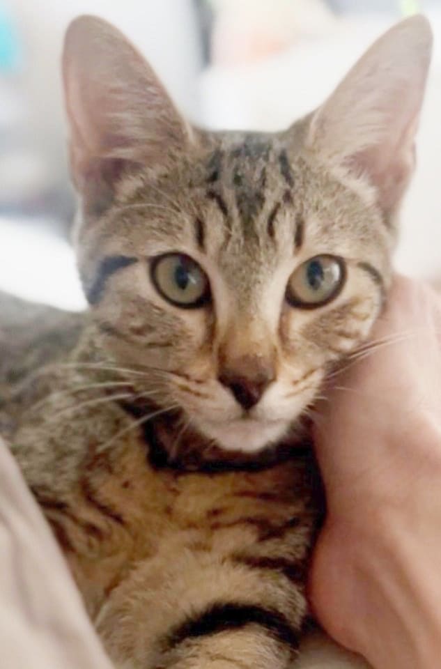 Photo of Buggs