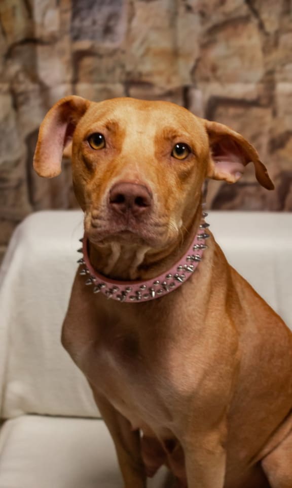 Photo of Nellie