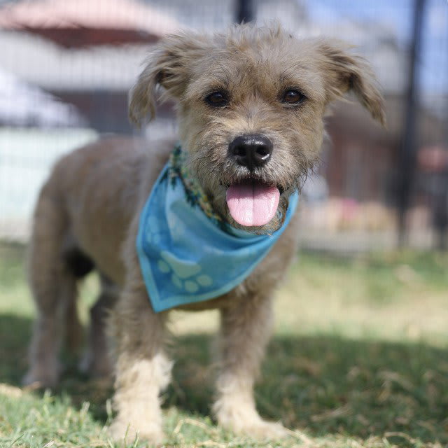 Photo of GEORGIE