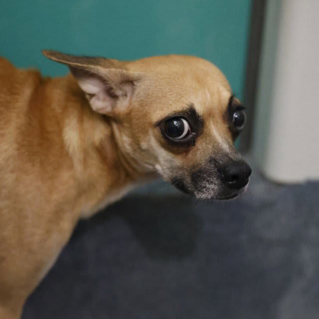 Photo of SALLY