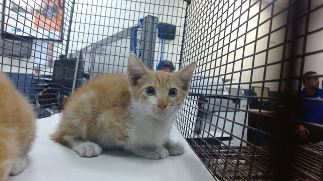 Photo of MICKEY
