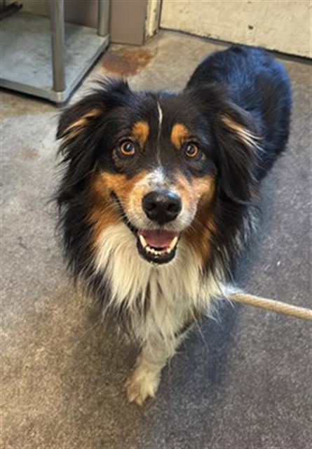 Photo of REGGIE