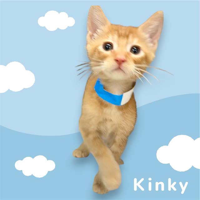 Photo of KINKY