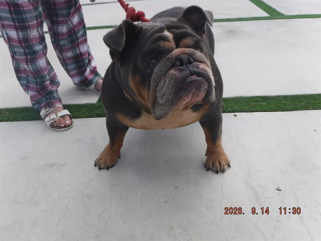 Photo of BELLA