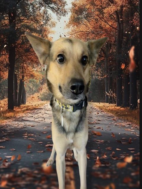 Photo of MAX
