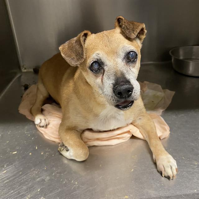 Photo of LOUIE