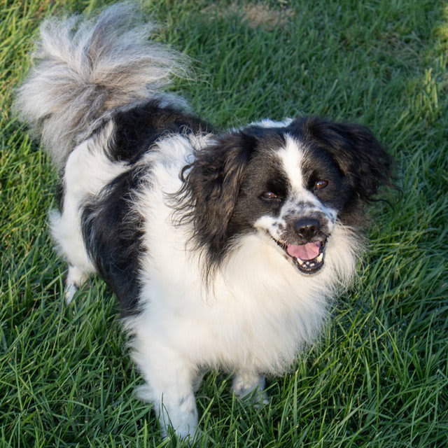 Photo of OREO